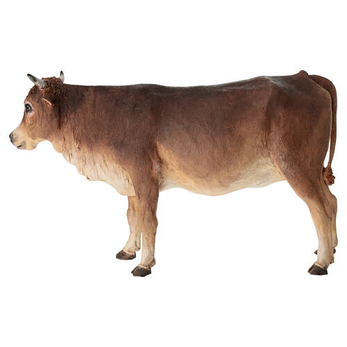 Boeuf debout crèche Angela Tripi 30 cm terre cuite 6
