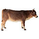 Boeuf debout crèche Angela Tripi 30 cm terre cuite s1