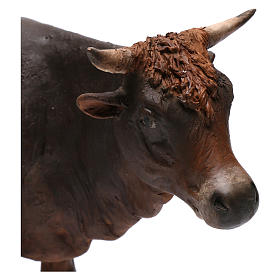 Presepe Angela Tripi: Bue in piedi 30 cm Angela Tripi terracotta