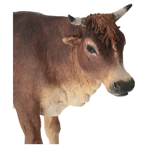 Wół stojący 30 cm Angela Tripi terakota 4