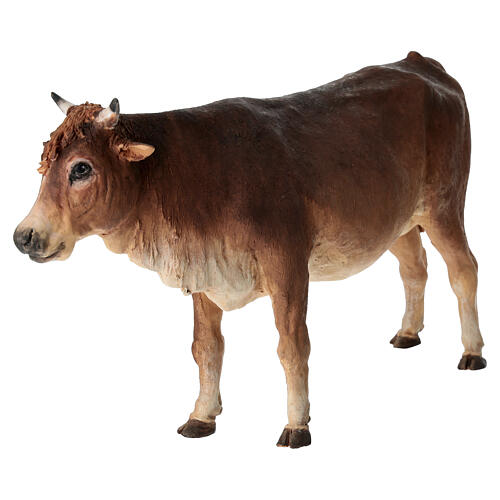 Wół stojący 30 cm Angela Tripi terakota 5