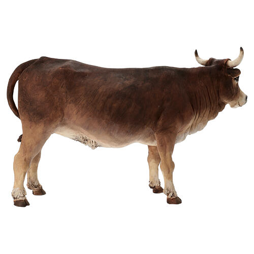 Wół stojący 30 cm Angela Tripi terakota 6