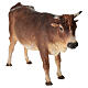Wół stojący 30 cm Angela Tripi terakota s3