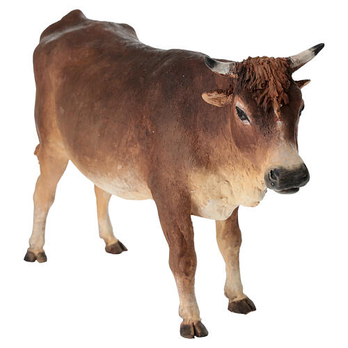 Boi em pé Angela Tripi terracota Presépio de altura média 30 cm 3