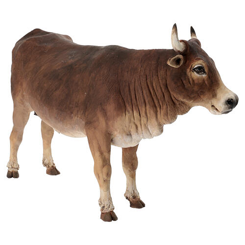 Boi em pé Angela Tripi terracota Presépio de altura média 30 cm 3
