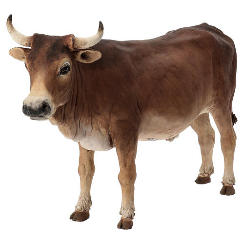 Boi em pé Angela Tripi terracota Presépio de altura média 30 cm 5