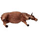 Boi em pé Angela Tripi terracota Presépio de altura média 30 cm s8
