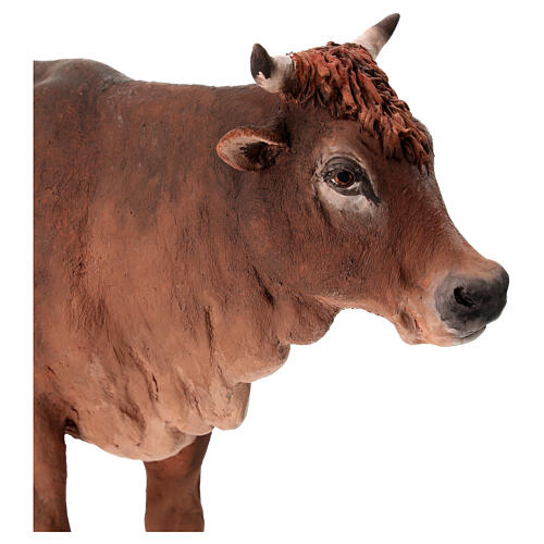 Nativity scene figurine, ox 30cm terracotta, Angela Tripi 4