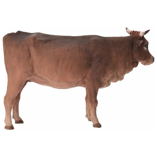 Nativity scene figurine, ox 30cm terracotta, Angela Tripi 5