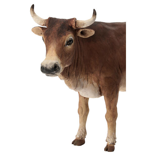 Nativity scene figurine, ox 30cm terracotta, Angela Tripi 2