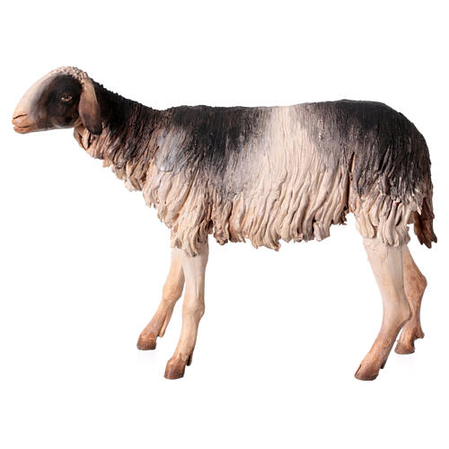Schaf mit schwarz-weißem Fell, für 30 cm Krippe von Angela Tripi, Terrakotta 1
