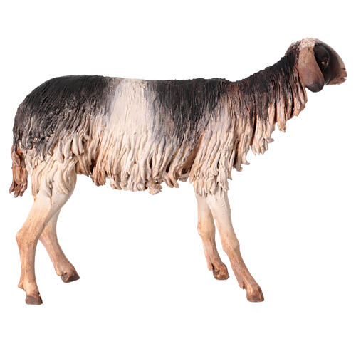 Schaf mit schwarz-weißem Fell, für 30 cm Krippe von Angela Tripi, Terrakotta 4