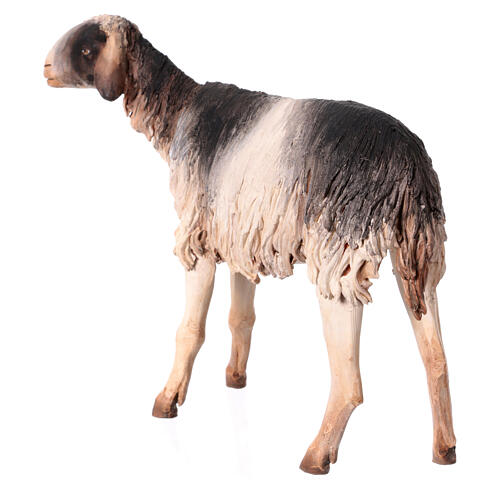 Schaf mit schwarz-weißem Fell, für 30 cm Krippe von Angela Tripi, Terrakotta 5
