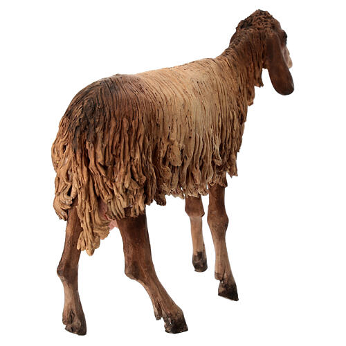 Schaf mit schwarz-weißem Fell, für 30 cm Krippe von Angela Tripi, Terrakotta 5