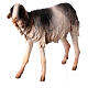 Schaf mit schwarz-weißem Fell, für 30 cm Krippe von Angela Tripi, Terrakotta s2