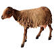 Schaf mit schwarz-weißem Fell, für 30 cm Krippe von Angela Tripi, Terrakotta s2