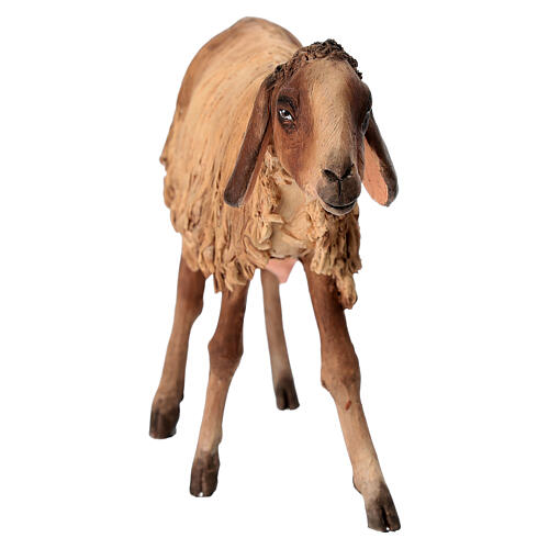 Pecora 30 cm bianca nera Angela Tripi terracotta 3
