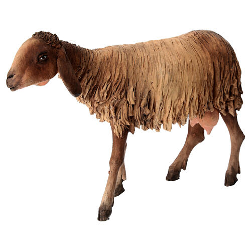 Ovelha 30 cm branca e preta Angela Tripi terracota 2