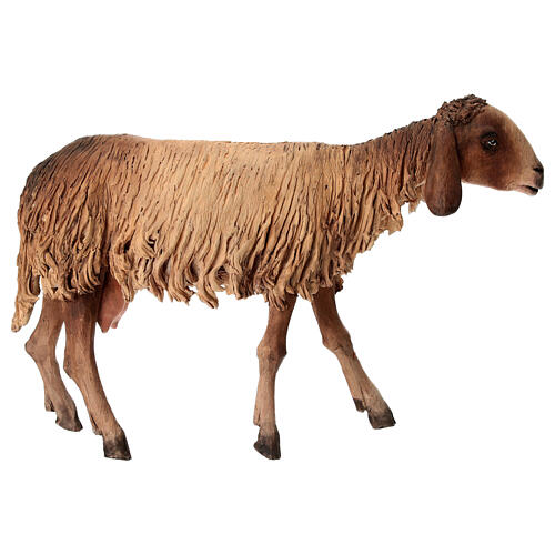 Ovelha 30 cm branca e preta Angela Tripi terracota 4