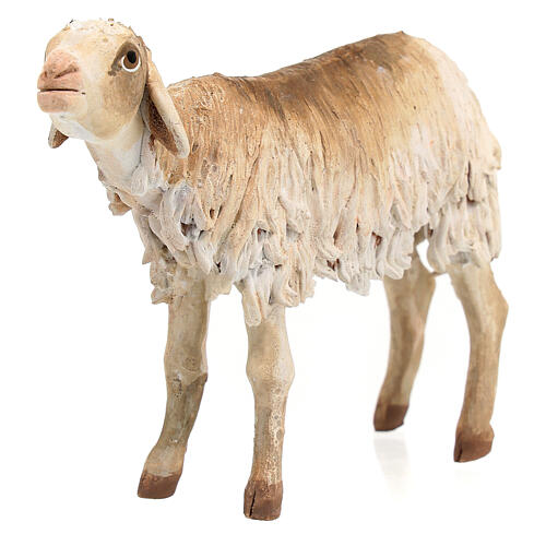 Stehendes Schaf, für 18 cm Krippe von Angela Tripi, Terrakotta 2