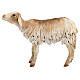 Stehendes Schaf, für 18 cm Krippe von Angela Tripi, Terrakotta s1