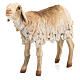 Stehendes Schaf, für 18 cm Krippe von Angela Tripi, Terrakotta s2