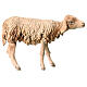 Brebis debout crèche 18 cm A. Tripi s7