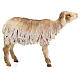Stojąca owca z terakoty 18 cm Angela Tripi s4
