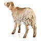 Stojąca owca z terakoty 18 cm Angela Tripi s5