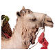 Kamel liegend, für 30 cm Krippe von Angela Tripi, Terrakotta s4