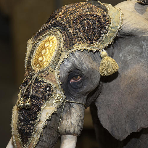 Elefante con Rey Mago del belén Angela Tripi 30 cm 3