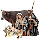 Nativity with ox, 30cm by Angela Tripi s1