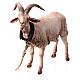 Pastore con capra 30 cm Angela Tripi s8