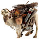 Kamel, für 18 cm Krippe von Angela Tripi, Terrakotta s2