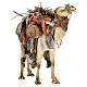 Kamel, für 18 cm Krippe von Angela Tripi, Terrakotta s6