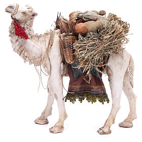 Presepe Angela Tripi: Cammello 18 cm presepe Angela Tripi