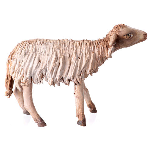 Schaf, für 13 cm Krippe von Angela Tripi, Terrakotta 1