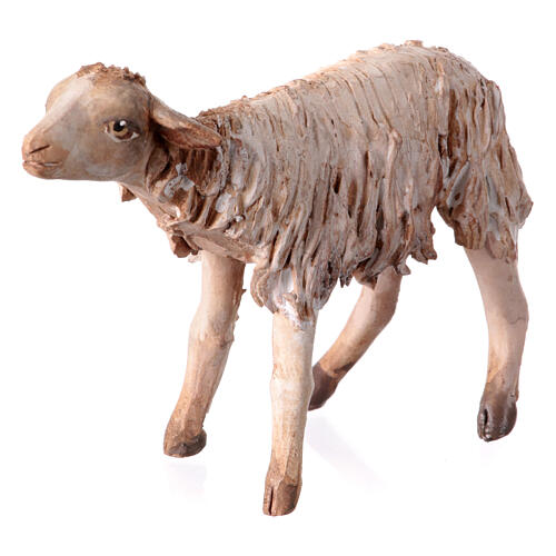 Schaf, für 13 cm Krippe von Angela Tripi, Terrakotta 3