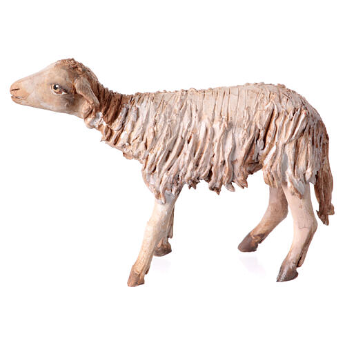 Schaf, für 13 cm Krippe von Angela Tripi, Terrakotta 4