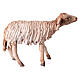Schaf, für 13 cm Krippe von Angela Tripi, Terrakotta s1