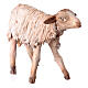 Schaf, für 13 cm Krippe von Angela Tripi, Terrakotta s2