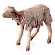 Schaf, für 13 cm Krippe von Angela Tripi, Terrakotta s3