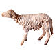 Schaf, für 13 cm Krippe von Angela Tripi, Terrakotta s4