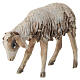 Brebis 13cm crèche terre cuite Angela Tripi s3