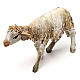 Stehendes Schaf, für 13 cm Krippe von Angela Tripi, Terrakotta s2