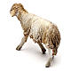 Stehendes Schaf, für 13 cm Krippe von Angela Tripi, Terrakotta s3
