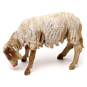 Äsendes Schaf, für 13 cm Krippe von Angela Tripi, Terrakotta