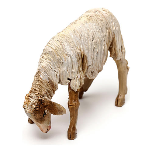 Äsendes Schaf, für 13 cm Krippe von Angela Tripi, Terrakotta 2