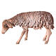 Äsendes Schaf, für 13 cm Krippe von Angela Tripi, Terrakotta s5