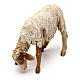 Sheep with lowered head in terracotta 13cm Angela Tripi s2